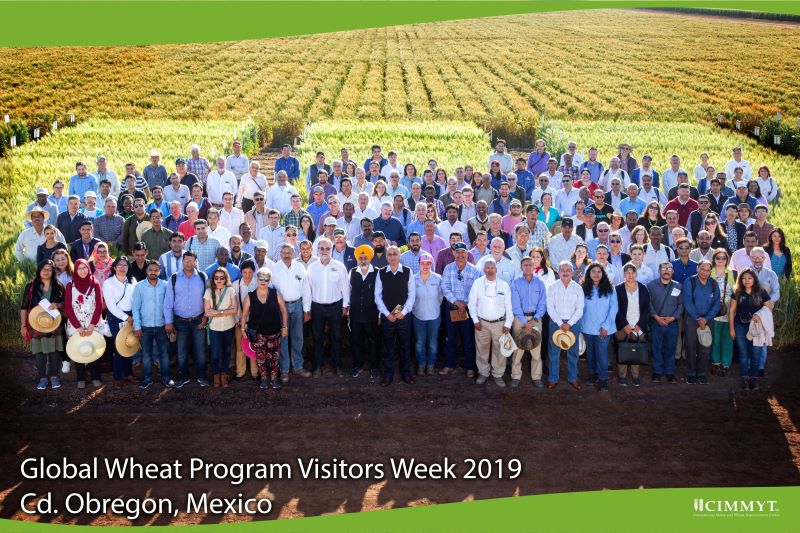Participants in the Field Day 2019 at the experimental station in Obregón stand for a group photo. (Photo: Ernesto Blancarte)