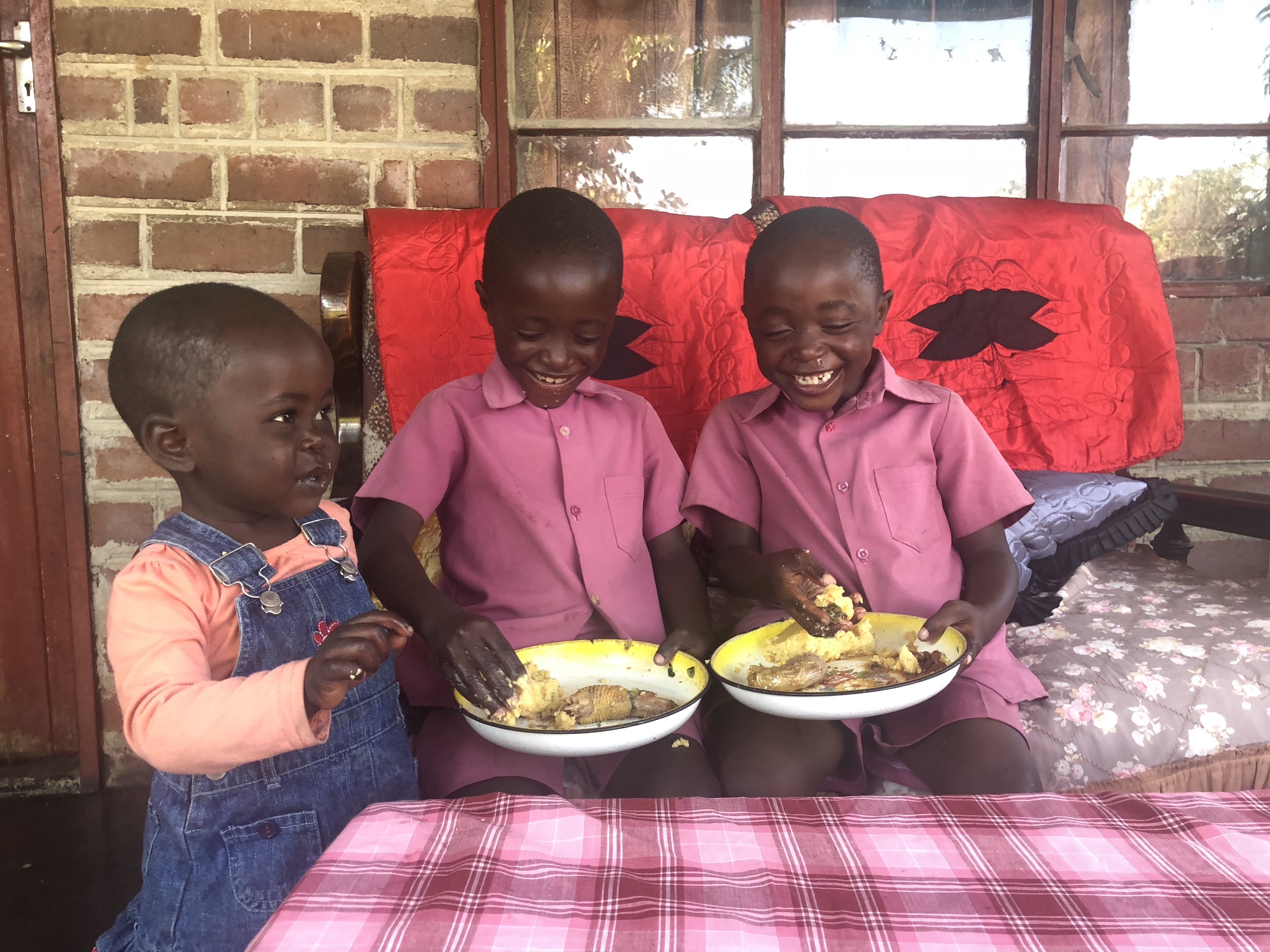 Orange maize conventionally bred to contain high amounts of vitamin A is fighting child malnutrition in Zimbabwe. (Photo: Matthew O'Leary/ CIMMYT)