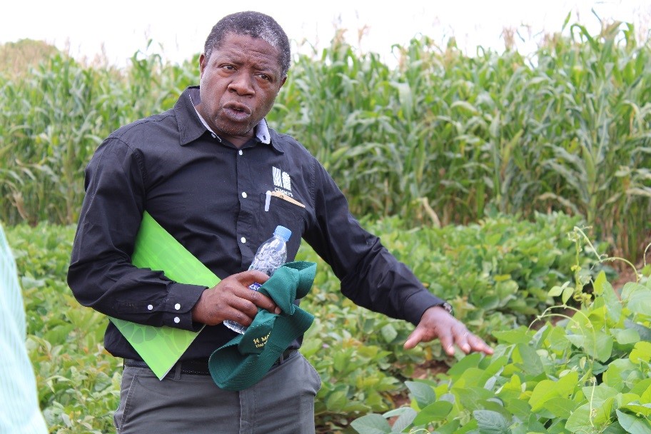 CIMMYT researcher Isaiah Nyagumbo explains conservation agriculture techniques during the annual partners field day. (Photo: Catherin Magada/CIMMYT)