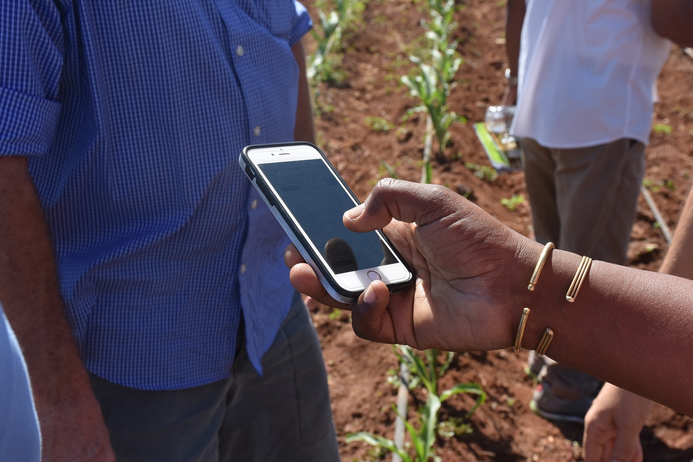 The TAMASA team plans to publish the code and user-friendly interface of this new geospatial assessment tool later this year. (Photo: CIMMYT)