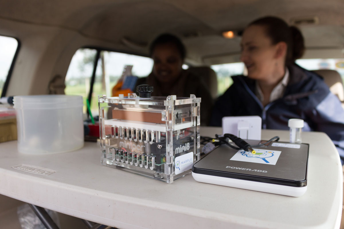 The MARPLE team uses the diagnostic kit in Ethiopia. (Photo: JIC)