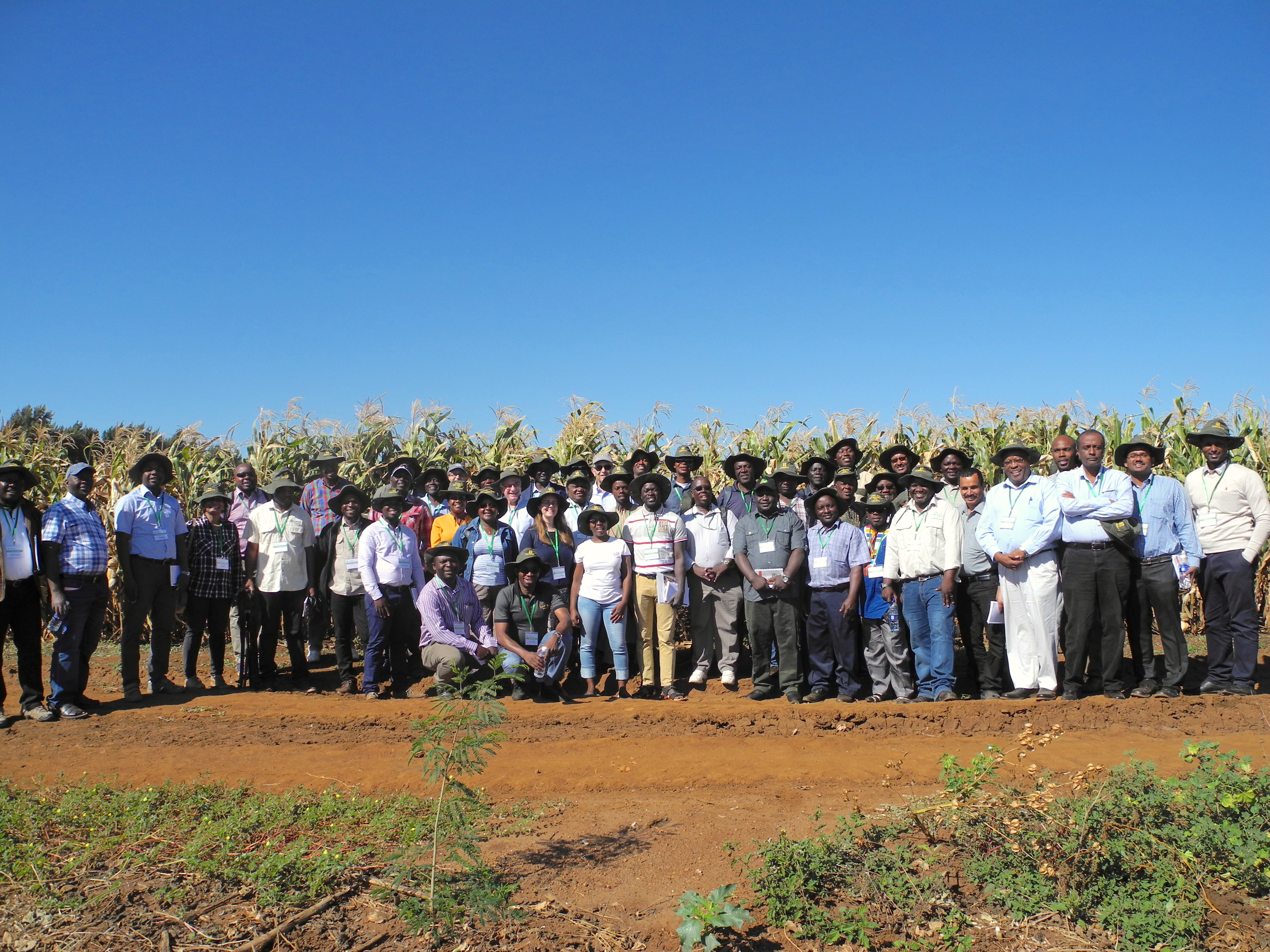 STMA meeting participants pose for a group photo during the field visit to QualiBasic Seed. (Photo: Jennifer Johnson/CIMMYT)