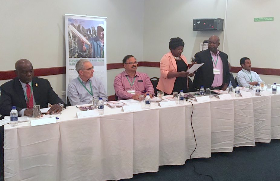 The deputy director of the Zambia Agriculture Research Institute (ZARI), Monde Zulu (fourth from left), gives the opening address of the STMA Annual Meeting 2019. Left to right: Mick Mwala, University of Zambia; Tony Cavalieri, Bill & Melinda Gates Foundation; B.M. Prasanna, CIMMYT; Monde Zulu, ZARI; Mwansa Kabamba, ZARI; Cosmos Magorokosho, CIMMYT; and Abebe Menkir, IITA. 