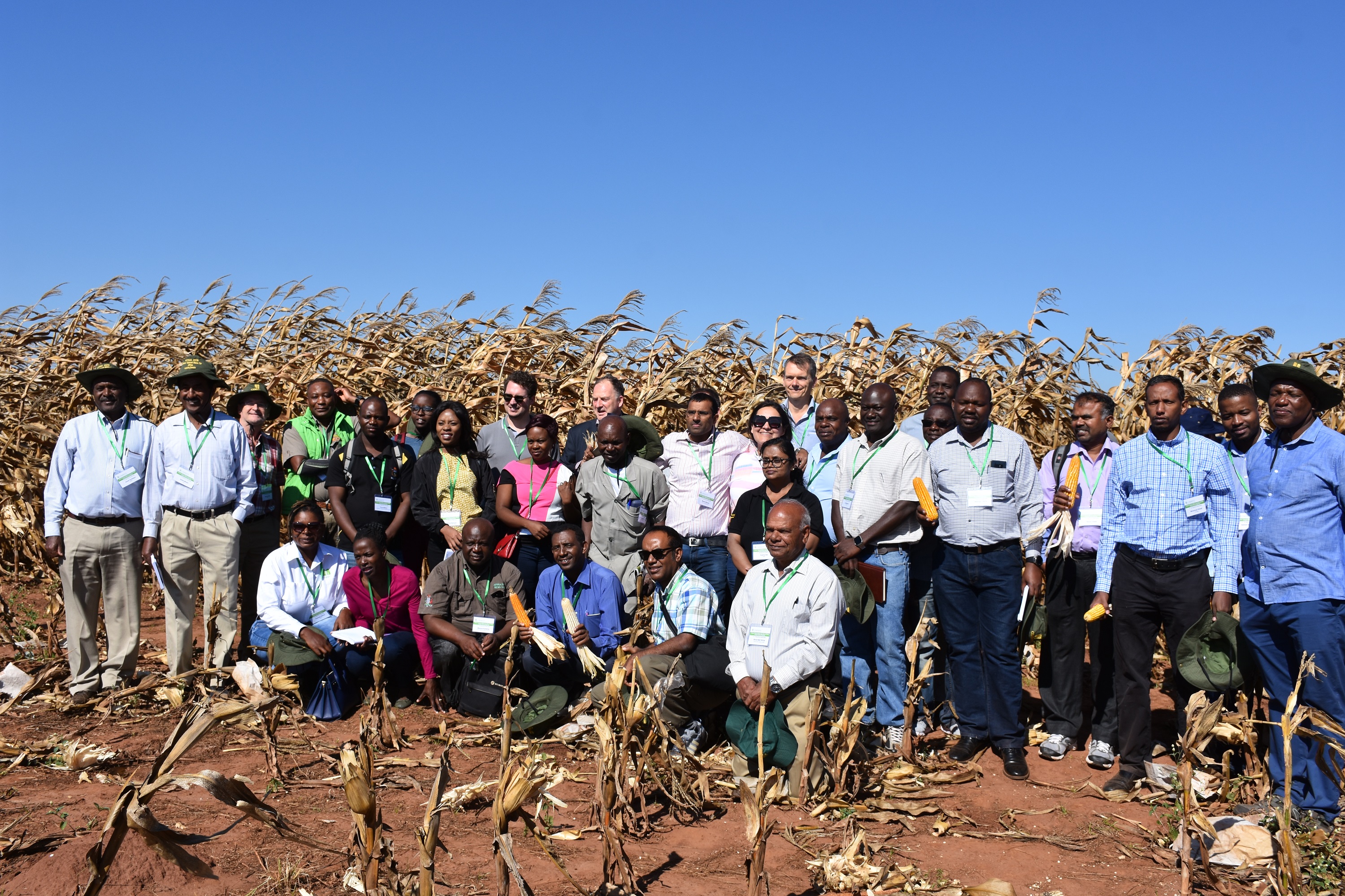 STMA meeting participants pose for a group photo during a field visit to seed company Zamseeds. (Photo: Jerome Bossuet/CIMMYT)