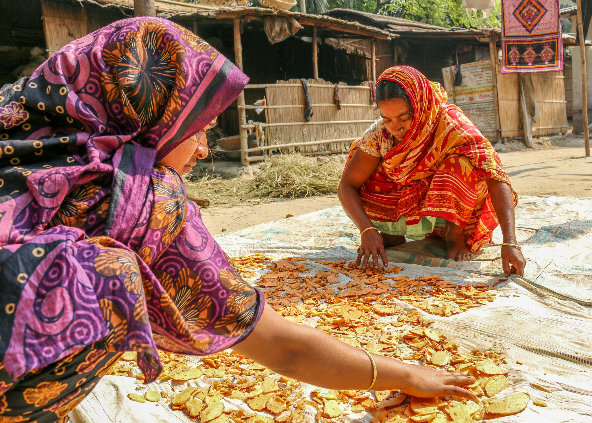 Two women sort orange-fleshed sweet potato in Faridpur district, Bangladesh. (Photo: Sara Quinn/CIP)