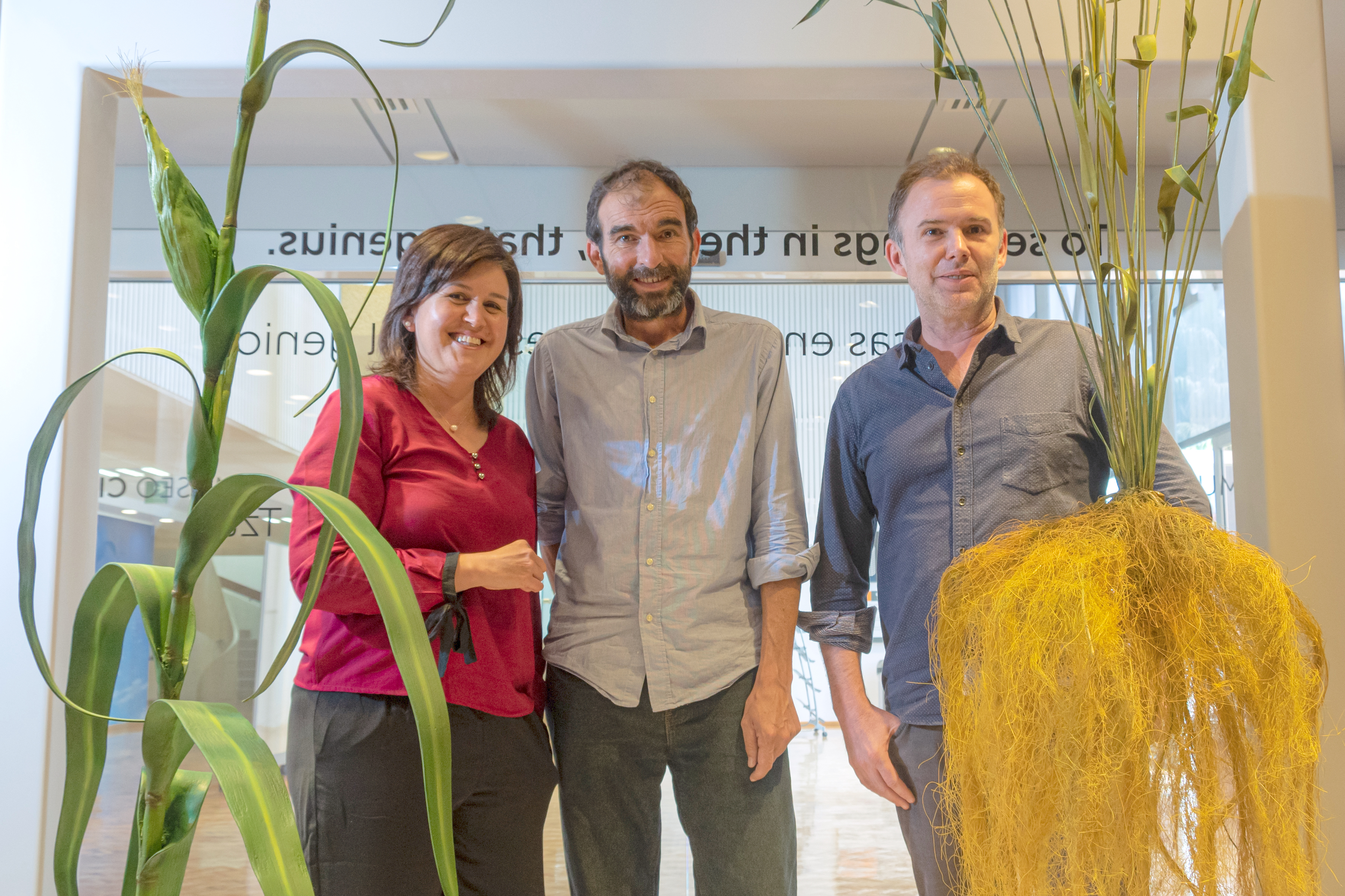 CIMMYT scientists Natalia Palacios (left), Santiago Lopez-Ridaura (center) and Jason Donovan discuss the implications of a "planetary health diet" for producers and consumers in low- and middle-income countries. (Photo: Alfonso Cortés/CIMMYT)