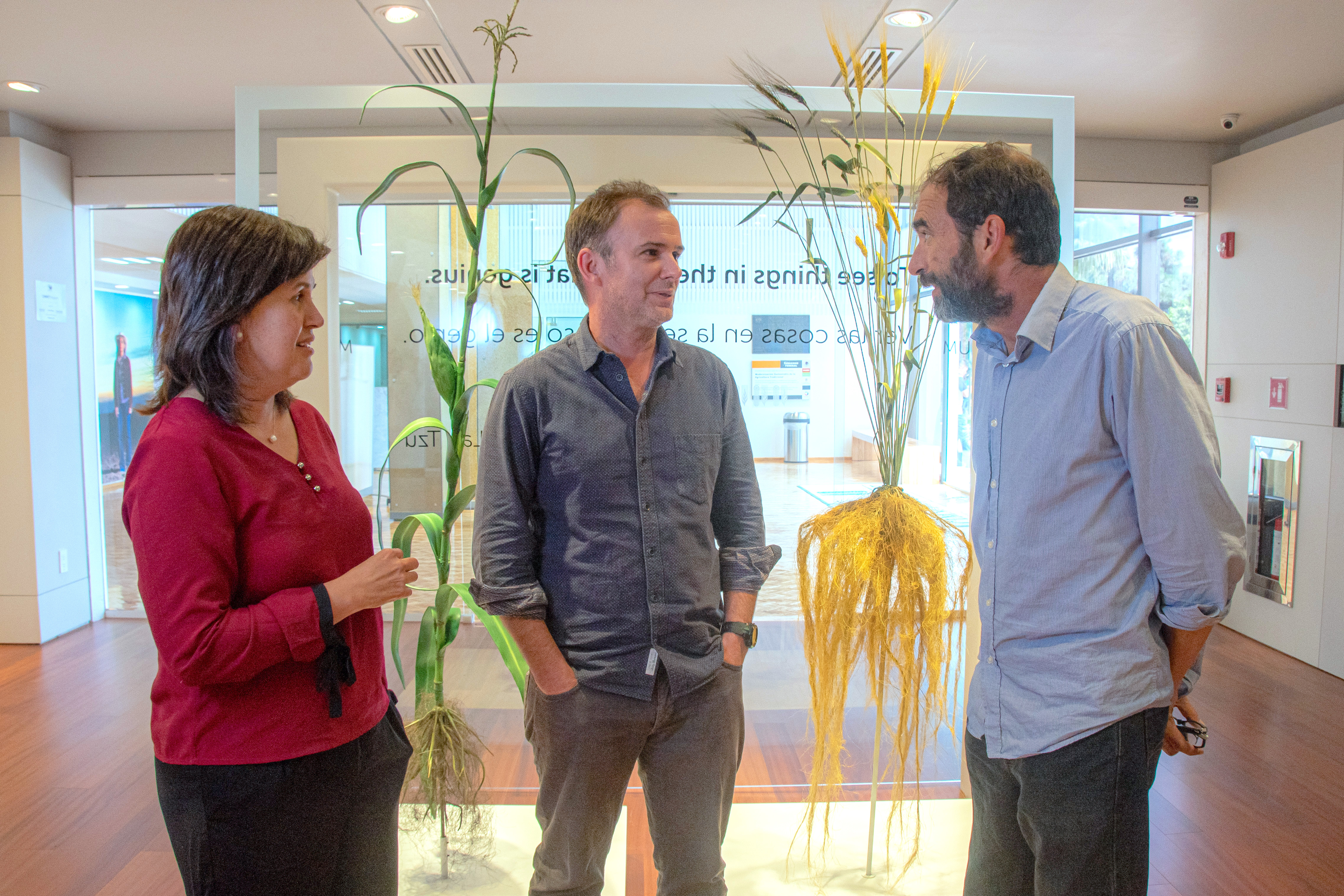 CIMMYT scientists Natalia Palacios (left), Jason Donovan (center) and Santiago Lopez-Ridaura discuss the implications of a "planetary health diet" for producers and consumers in low- and middle-income countries. (Photo: Alfonso Cortés/CIMMYT)