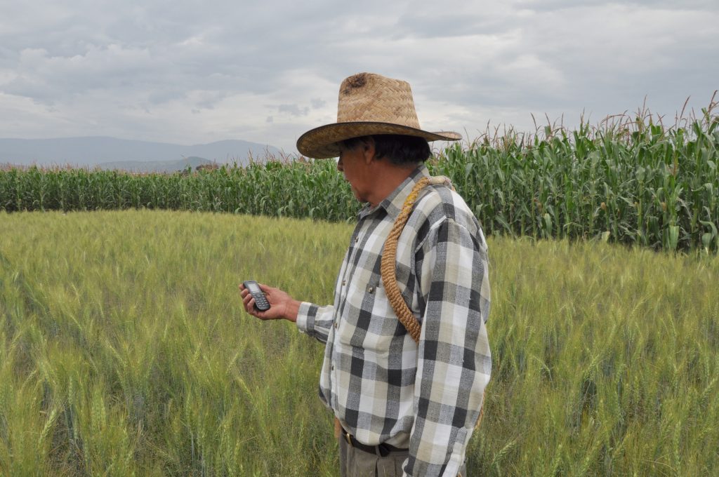 A farmer requests weather information via SMS.