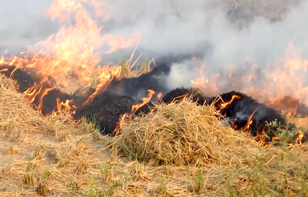 Air pollution related to crop residue burning imposes enormous public health and economic burdens in northwestern India. (Photo: CIMMYT)