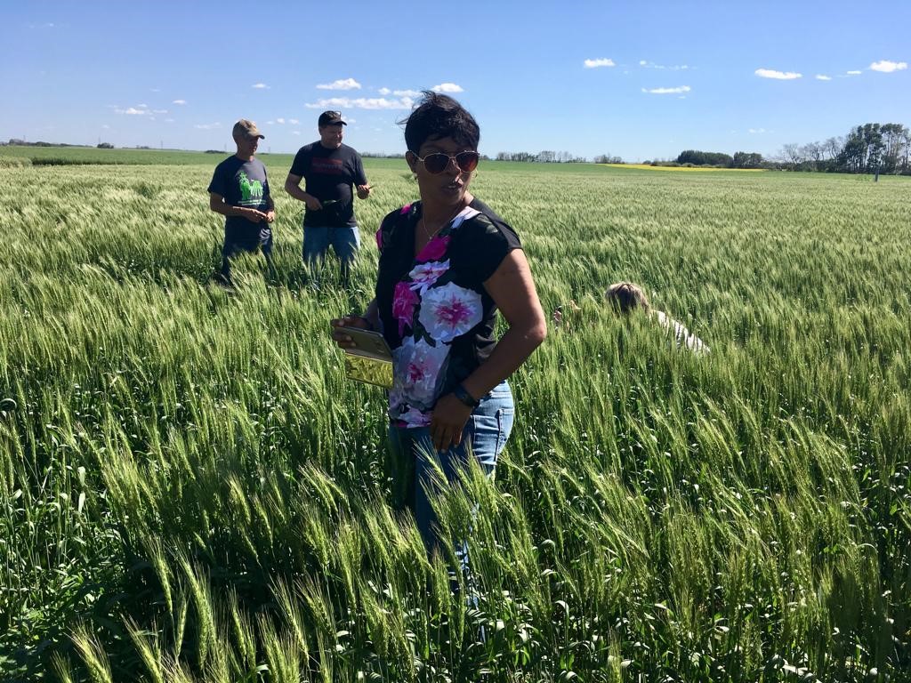 Nigerian journalist Nkechi Isaac (center) tours a Saskatchewan wheat farm. (Photo: Julie Mollins)