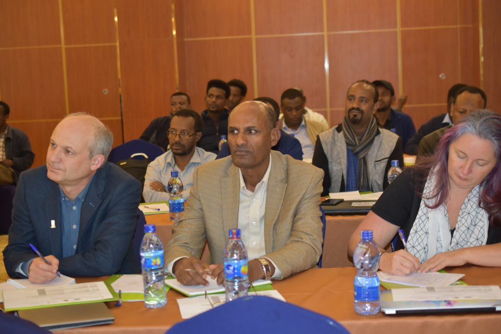 CIMMYT scientists Dave Hodson (left), Bekele Abeyo (center) and Sarah Hearne participated in the workshop.