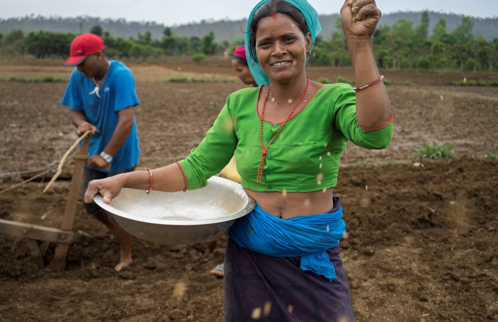 Farmer Kausila Chanara direct dry seeding rice in Ramghat, Surkhet, Nepal. (Photo: Peter Lowe/CIMMYT).