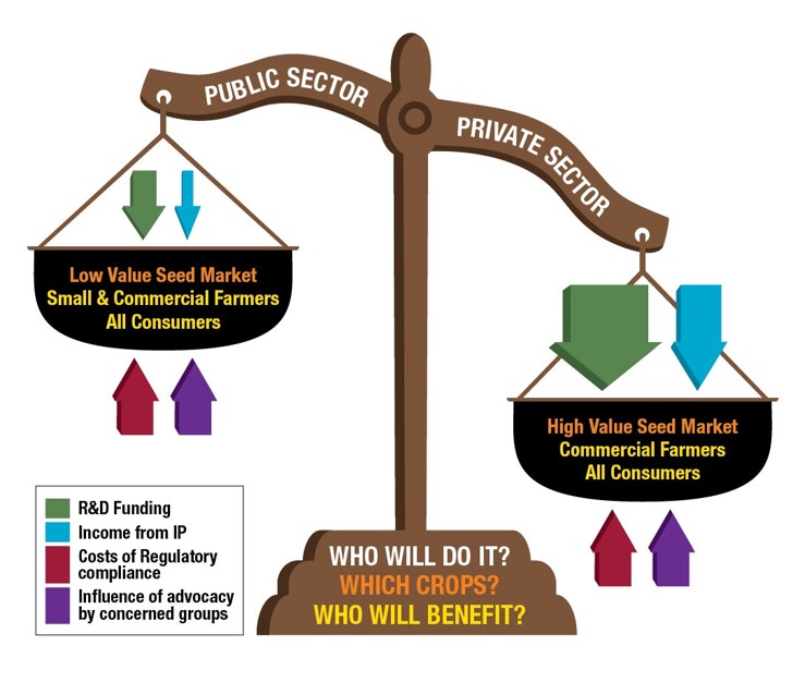 Institutional forces (arrows) alter the balance of (a) research and development (R&D) investments by the public relative to the private sector, (b) R&D emphasis on crops with low-value relative to high-value seed markets, which are often the crops of resource-poor versus resource-wealthy farmers, and therefore (c) who will benefit from the technologies as consumers of the improved crops. Achieving equity in access to the potential benefits of genetically engineered crops (or any technology, e.g., internet, cell phones, or radio) may require policy changes and actions (forces) to counterbalance prevailing trends. (Figure: Nancy Valtierra/CIMMYT)