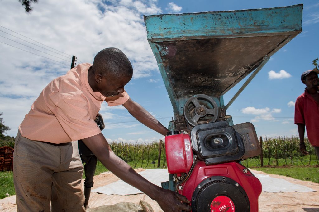 Starting machinery to husk maize cobs at Green Farm near Kitale, Trans-Nzoia. (Photo: Peter Lowe/CIMMYT)