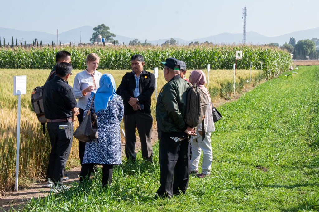 Indonesian researchers did a field visit to learn about sustainable intensification and climate change adaptation. (Photo: Alfonso Cortés/CIMMYT)