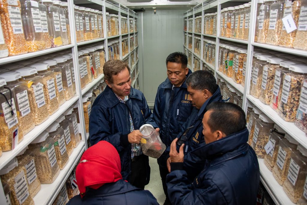 The Indonesian delegation visited CIMMYT's germplasm bank. (Photo: Alfonso Cortés/CIMMYT)