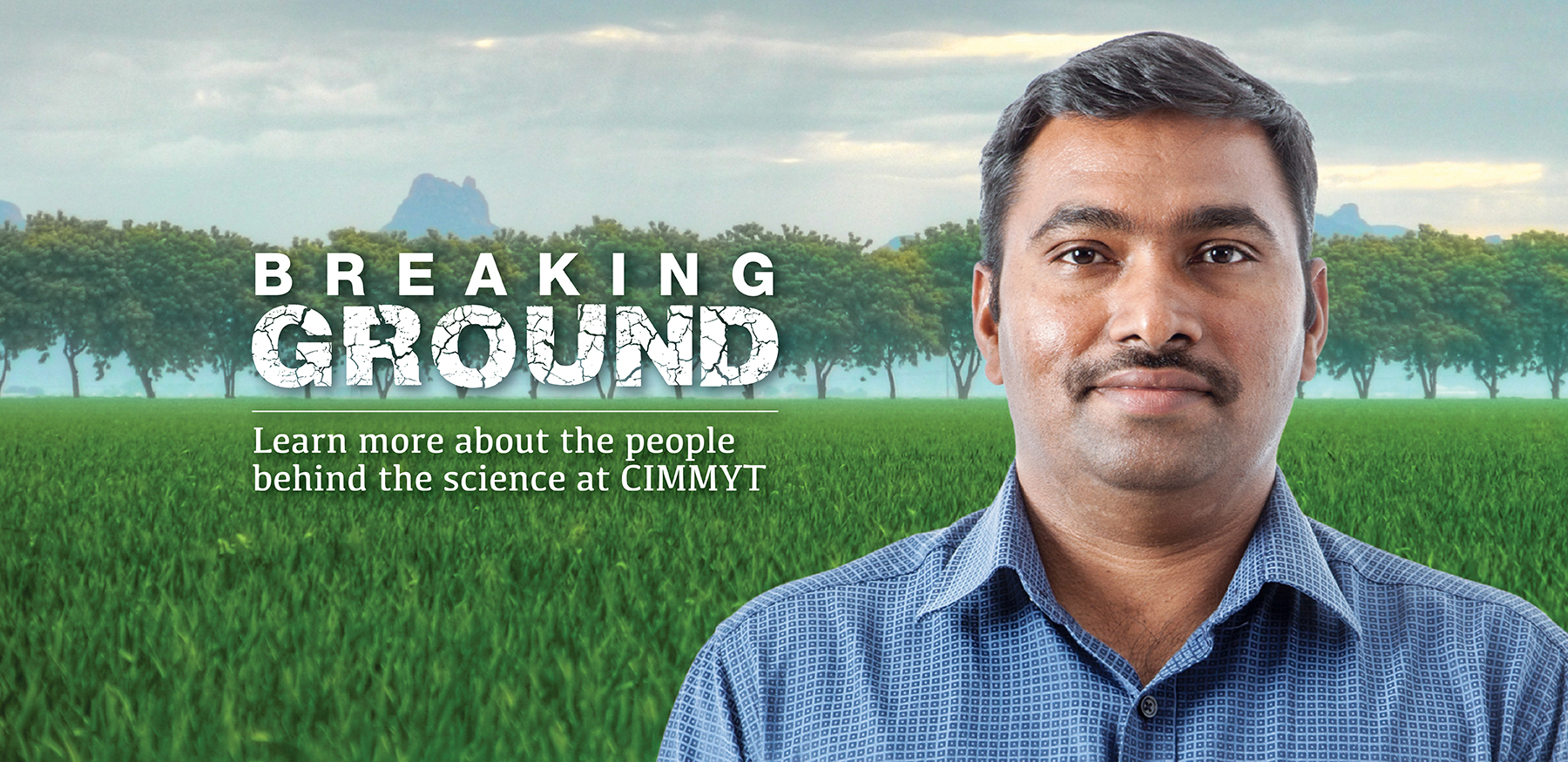 Background image for CIMMYT