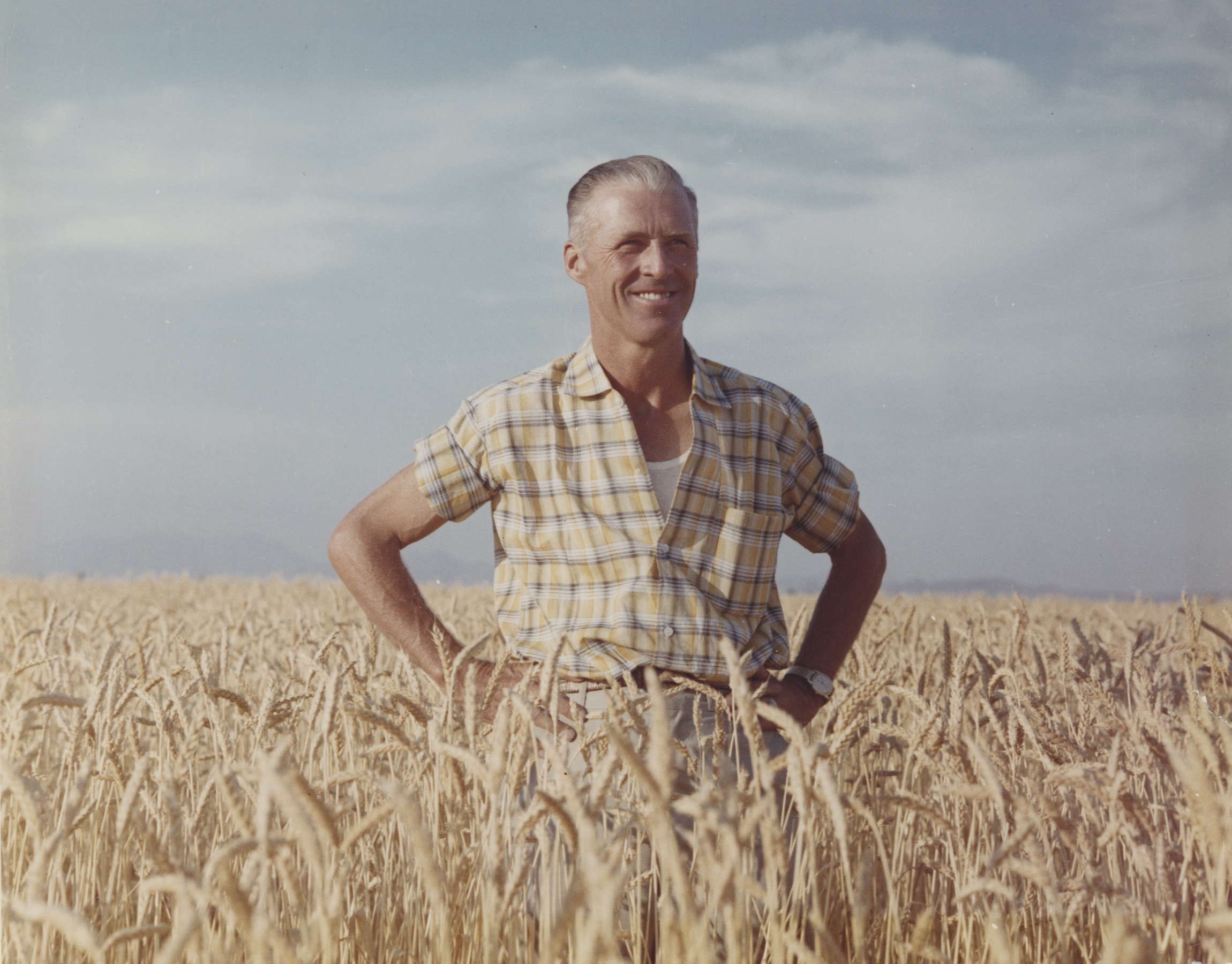 Norman E. Borlaug stands on a wheat field in Ciudad Obregón, Sonora state, Mexico. (Photo: CIMMYT)