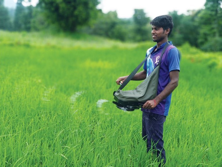 A young man uses a precision spreader to distribute fertilizer in a field. (Photo: Mahesh Maske/CIMMYT)