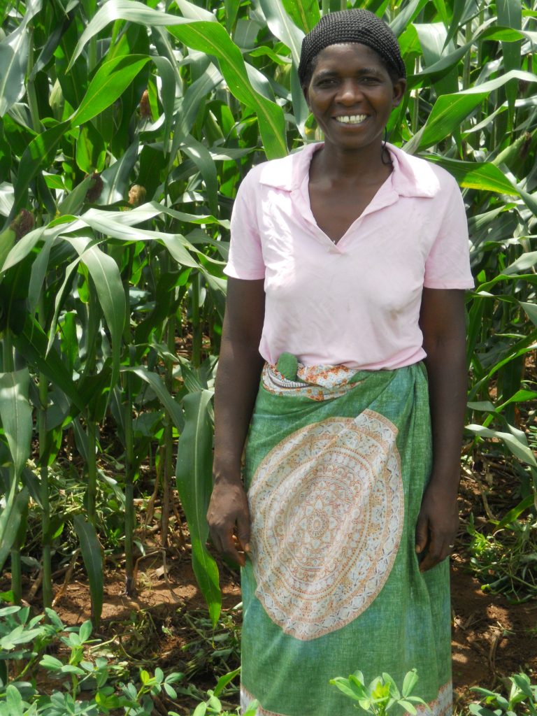 Mary Twaya stands by her field during the 2018/19 season. (Photo: Christian Thierfelder/CIMMYT)