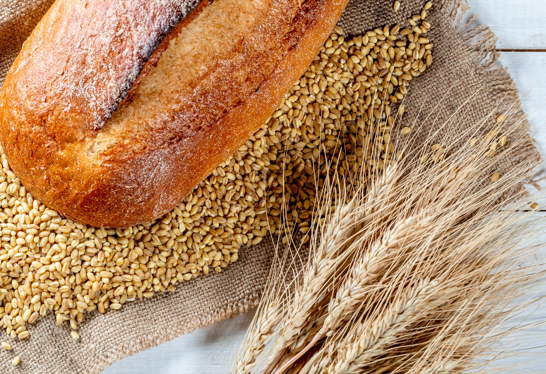 Freshly baked rye bread is displayed next to wheat spikes and grains. (Photo: Marco Verch/Flickr)