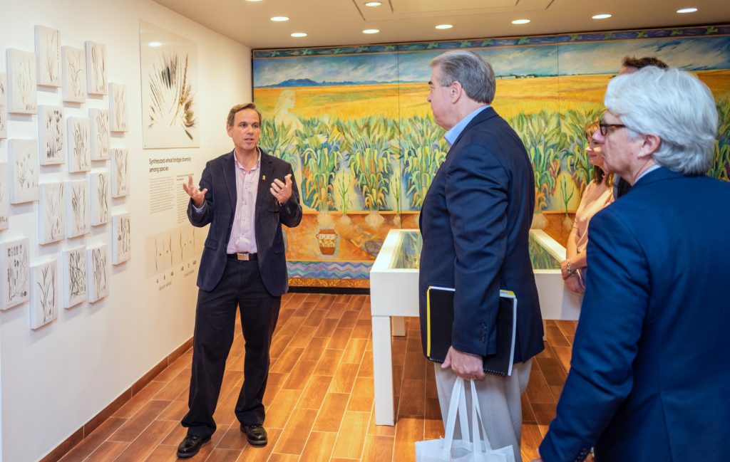 The director of the Genetic Resources program, Kevin Pixley (left), gives a tour of the recently remodelled Germplasm Bank museum to US Under Secretary McKinney (second from left). (Photo: Eleusis Llanderal/CIMMYT)