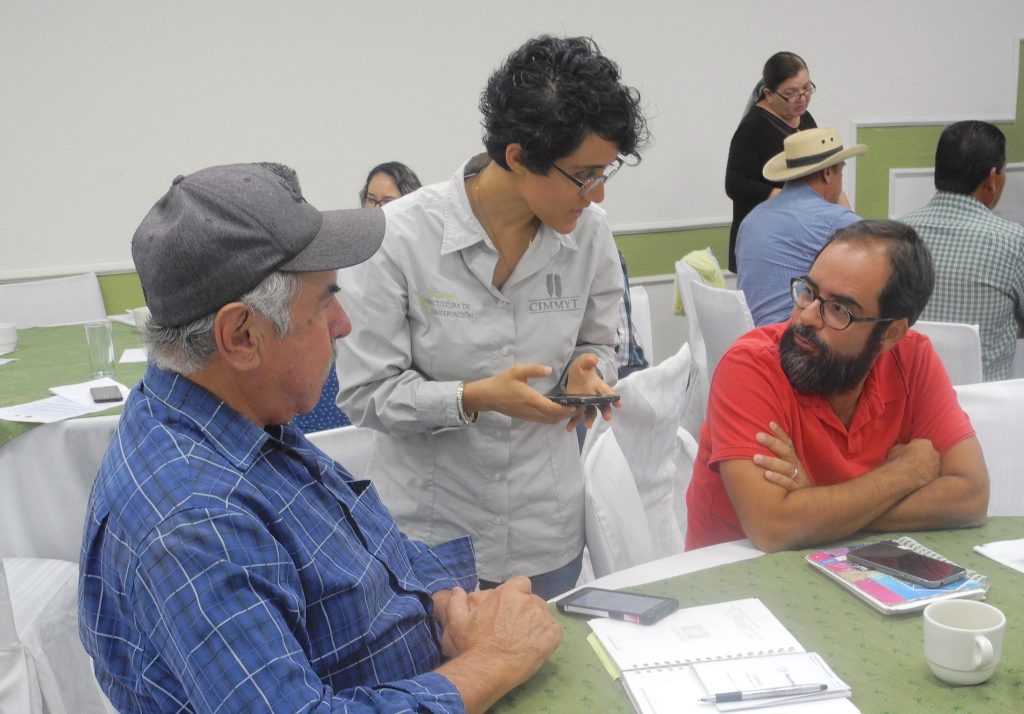 CIMMYT research assistant Lorena Gonzalez (center) helps local farmers try out the new COMPASS app during the workshop in Ciudad Obregon, Sonora state, Mexico. (Photo: Alison Doody/CIMMYT)