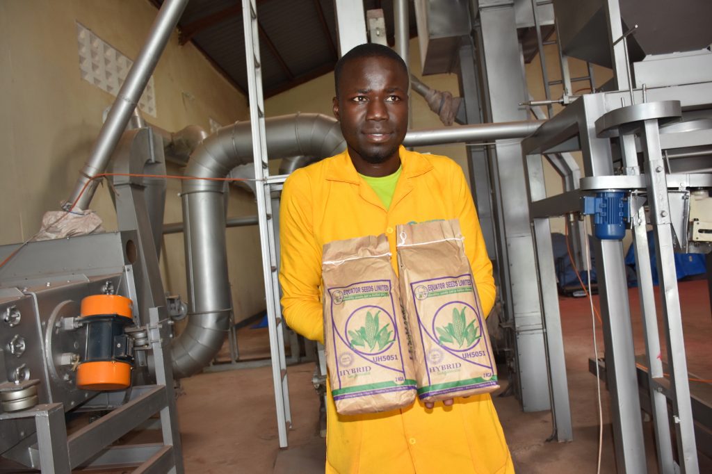A worker at the Equator Seeds production plant in Gulu displays packs of UH5051 maize seed. (Photo: Joshua Masinde/CIMMYT)