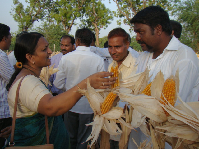 District agricultural officers listen to feedback from a maize farmer who grows MHM4070 in drought conditions. (Photo: UAS-R)