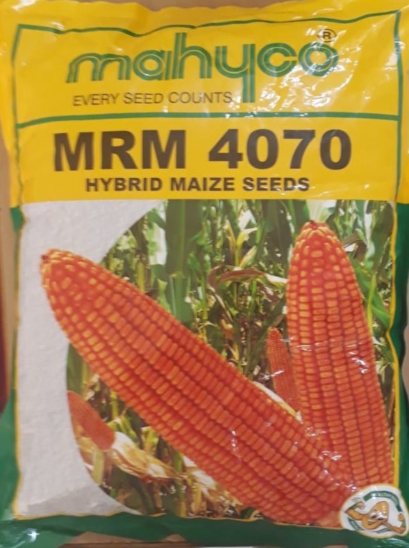 A pack of MHM4070 seed marketed by Mahyco. 