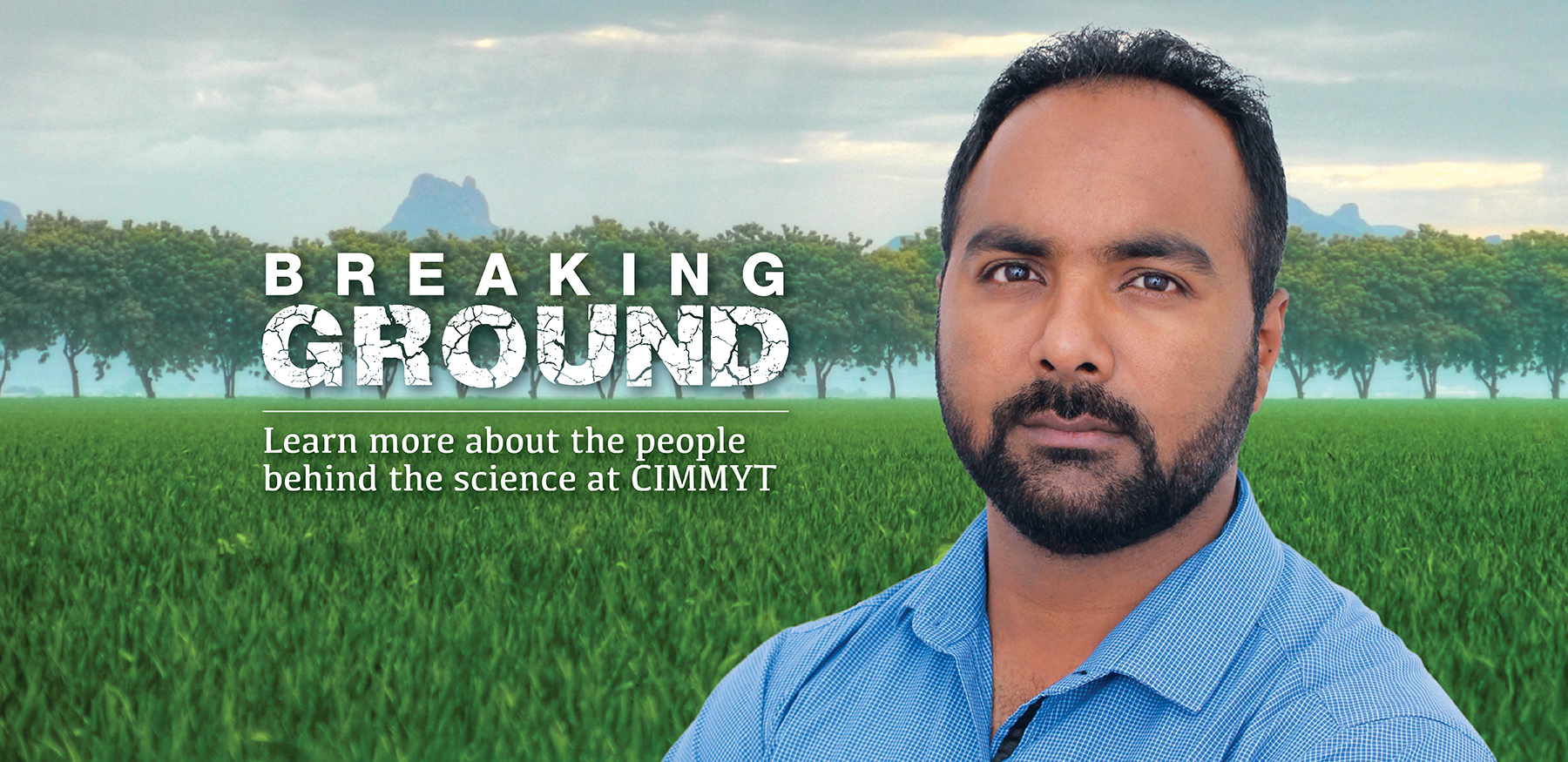 Background image for CIMMYT