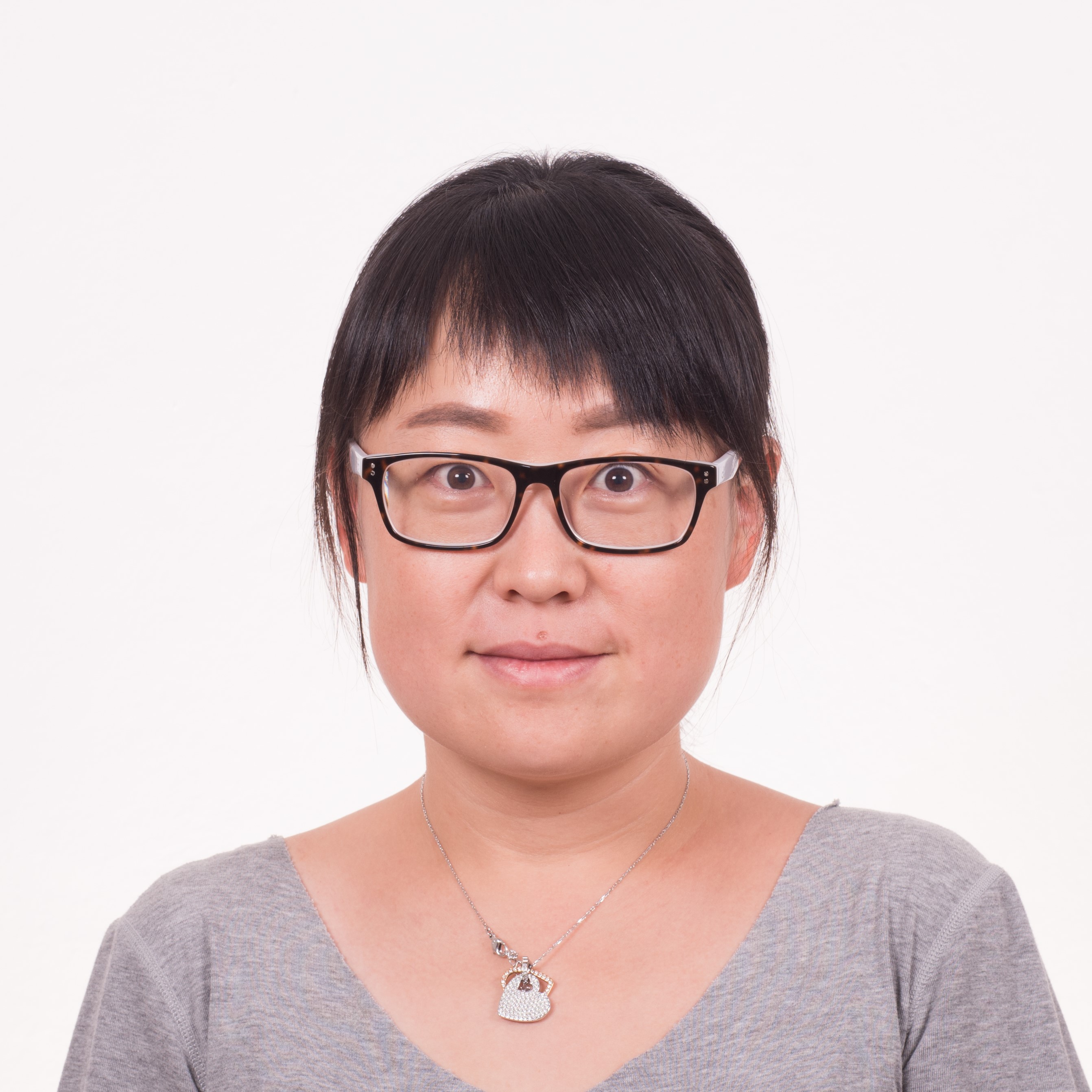 Profile image for Huihui Li