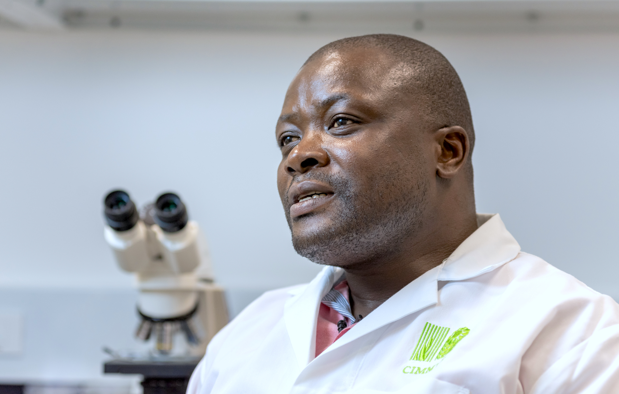 Amos Alakonya, head of CIMMYT's Seed Health unit. (Photo: Eleusis Llanderal/CIMMYT)