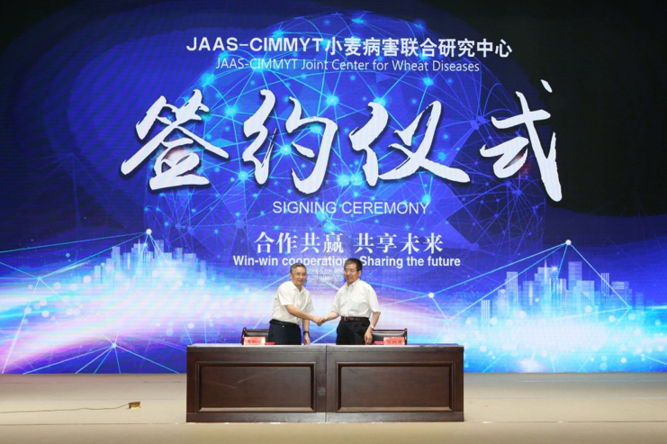 CIMMYT and JAAS representatives signed the agreement to establish a screening facility for Fusarium head blight in Nanjing, China.