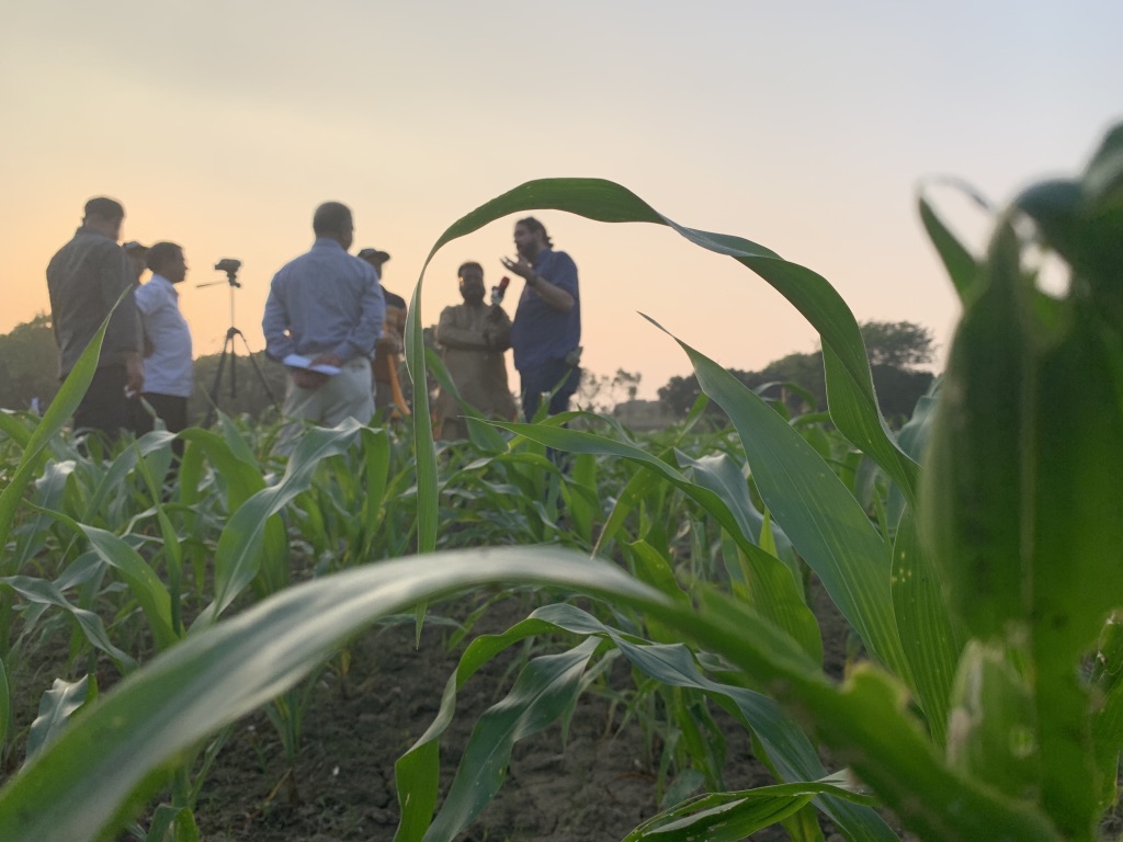 Reporters interview trainers in the field during the Fighting Back against Fall Armyworm workshops. (Photo: Shafiq Islam)