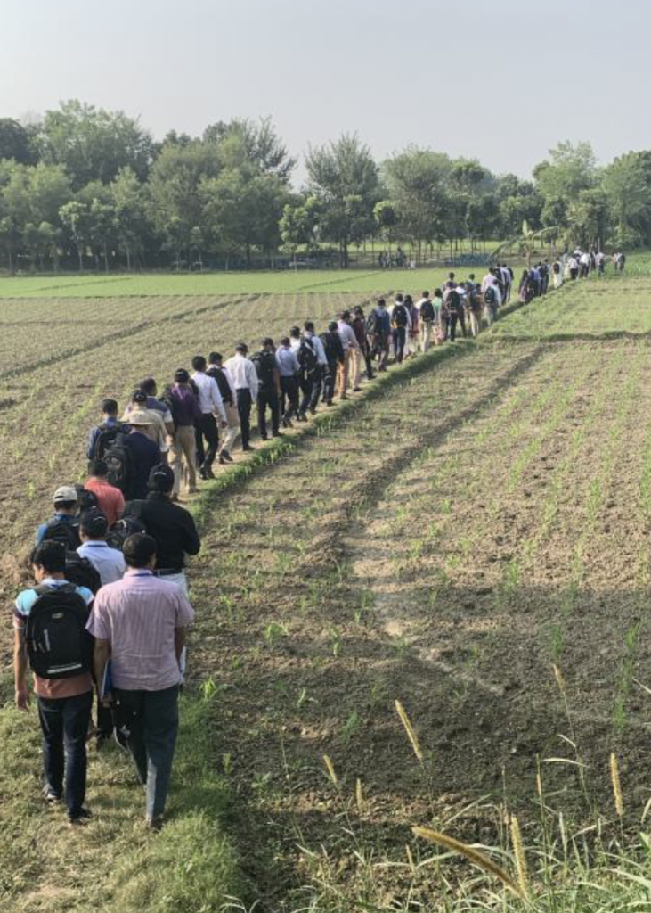 Participants of the Fighting Back against Fall Armyworm trainings visit farmers’ fields in Chauadanga, Bangladesh. (Photo: Tim Krupnik/CIMMYT)