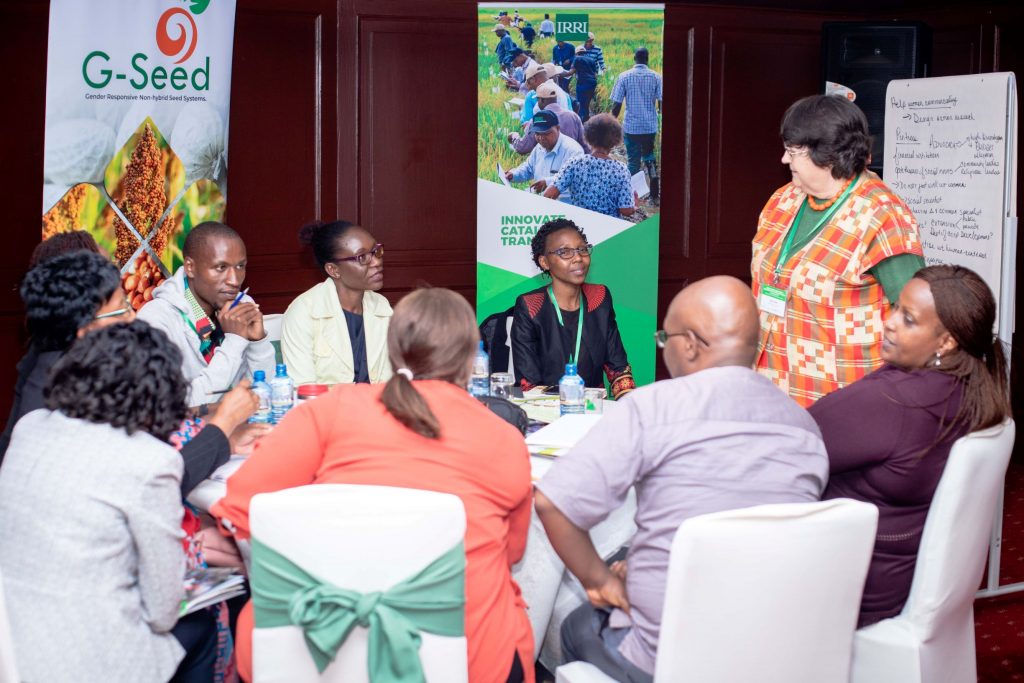 Some of the participants at the “Gender dynamics in seed systems in sub-Saharan Africa” workshop held on December 2, 2019, in Nairobi, Kenya. (Photo: Kipenz Films/CIMMYT)