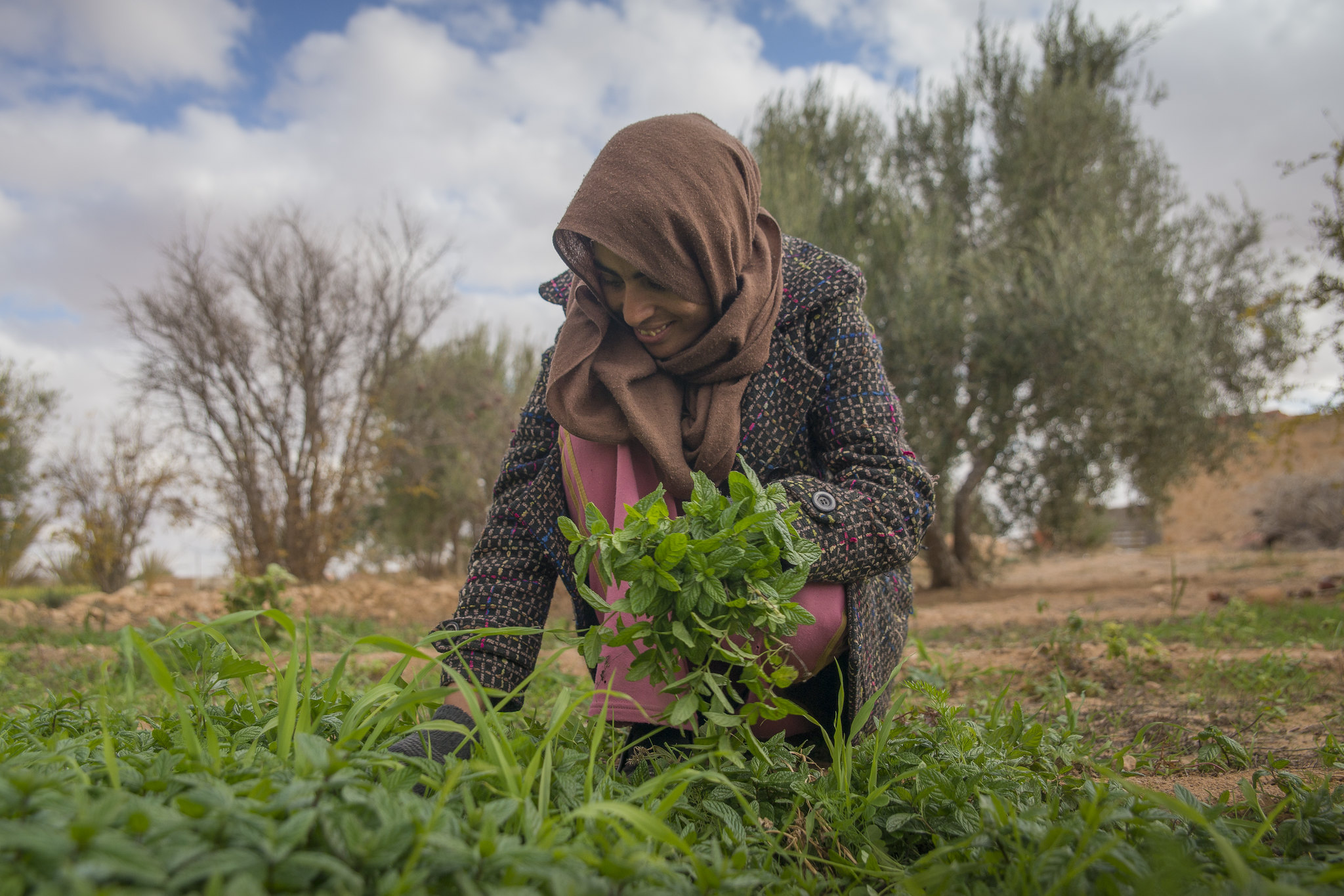 Vegetable gardening in Tunisia. (Photo: ICARDA)