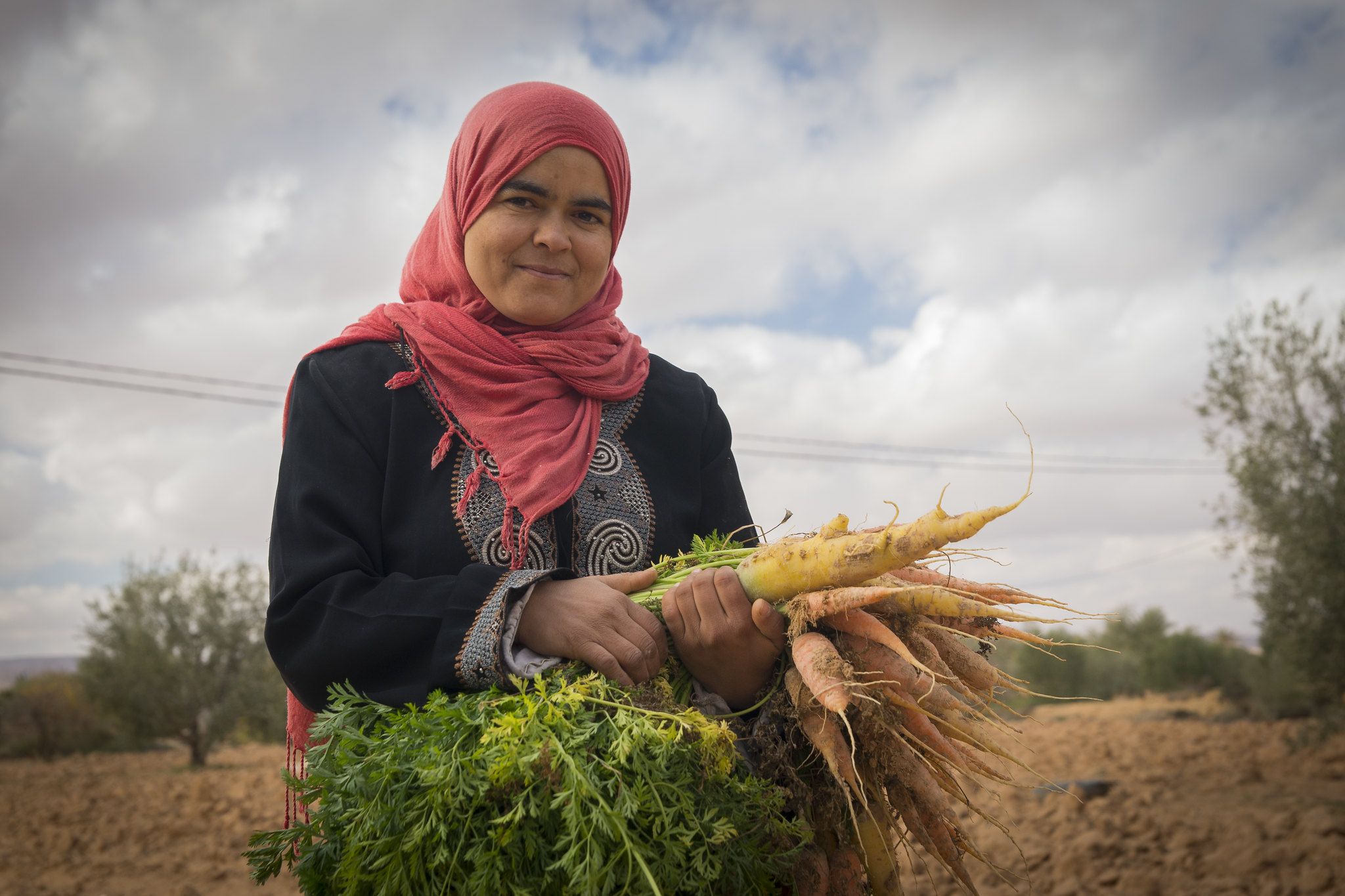 Growing vegetables in Tunisia. (Photo: ICARDA)