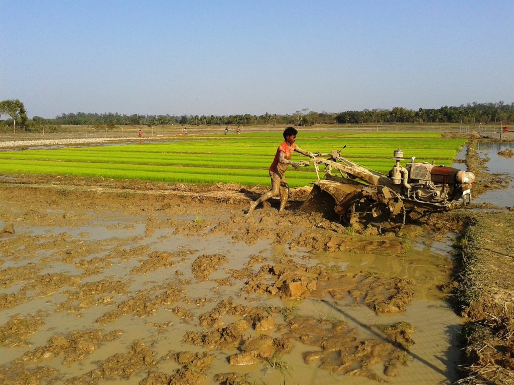 Land preparation on a rice field with a two-wheel tractor. (Photo: Vedachalam Dakshinamurthy/CIMMYT)