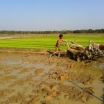 Land preparation on a rice field with a two-wheel tractor. (Photo: Vedachalam Dakshinamurthy/CIMMYT)