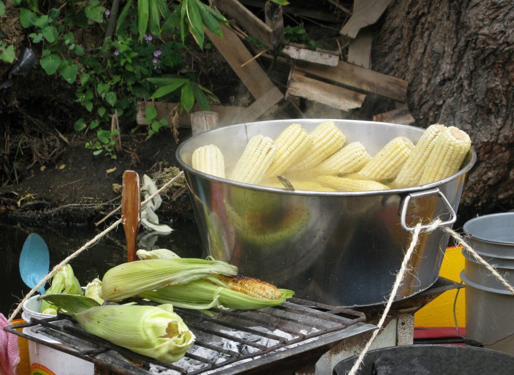 Roasted and boiled maize ears on sale in Xochimilco, in the south of Mexico City. (Photo: M. DeFreese/CIMMYT)
