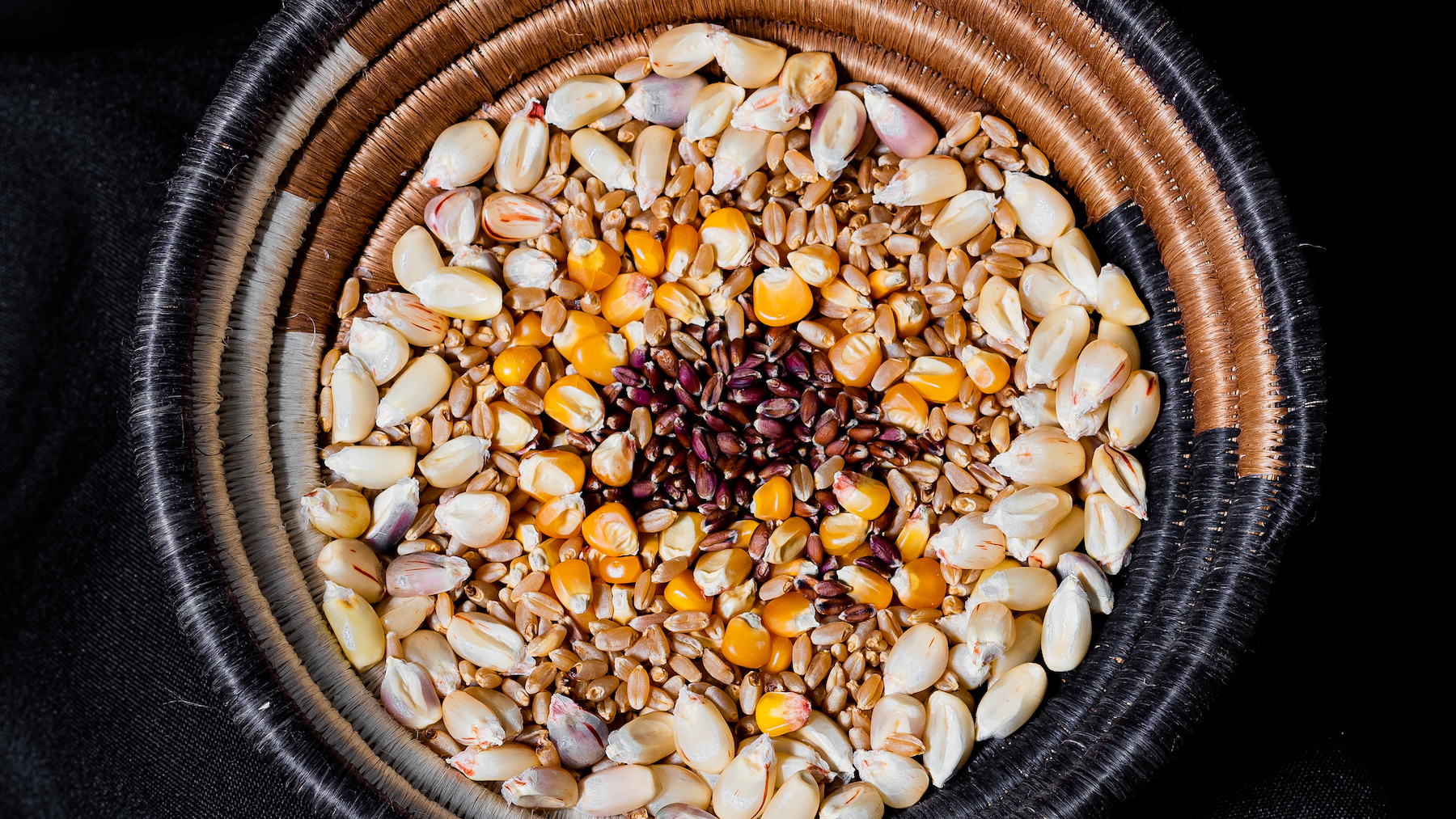 An assortment of whole, unprocessed maize and wheat kernels is displayed in a basket. (Photo: Alfonso Cortés/CIMMYT)