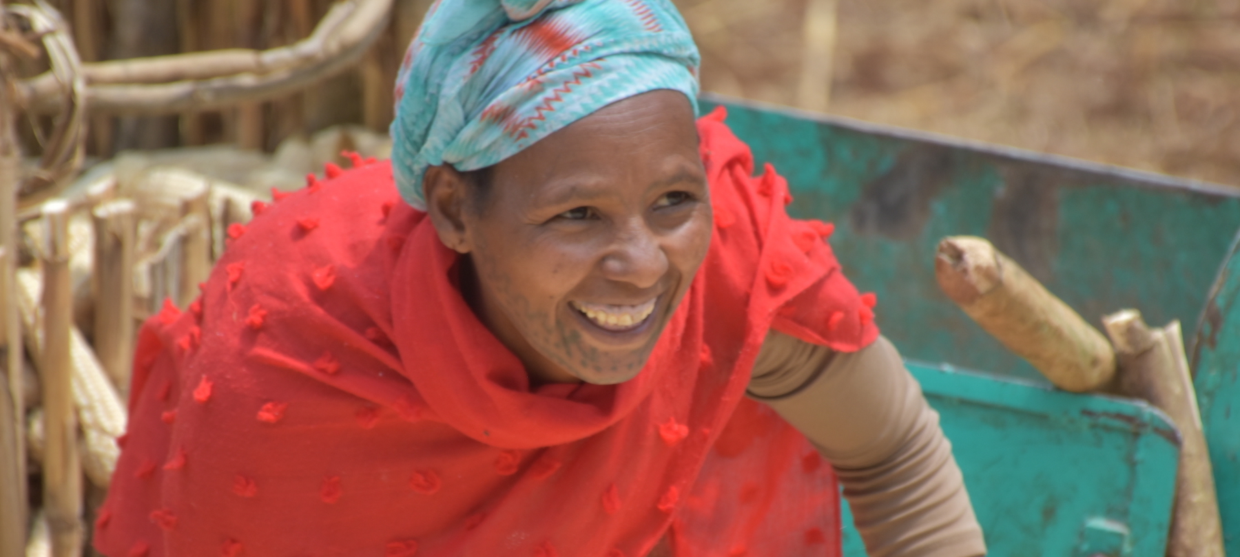 Kidane Mengistu is much happier with the threshing service she gets from the service provider. (Photo: Simret Yasabu/CIMMYT)