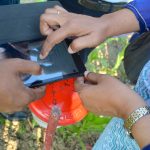 Participants of the Fighting Back Against Fall Armyworm trainings learning to collect field data through the Fall Armyworm Monitor web app in a farmer's field in Chauadanga, Bangladesh. (Photo: Uttam Kumar/CIMMYT)