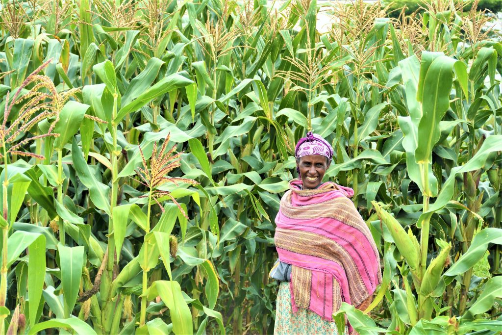A maize farmer in southern Ethiopia. (Photo: <a href="https://flic.kr/p/2hp5uoS">S. Samuel/CCAFS</a>)