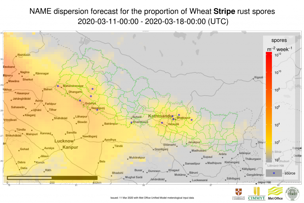 Example of weekly stripe rust spore deposition forecast in Nepal. Darker colors represent higher predicted number of spores deposited. The early warning system combines weather information from the Met Office with field and mobile phone surveillance data and disease spread modeling from the University of Cambridge. (Graphic: University of Cambridge and Met Office)