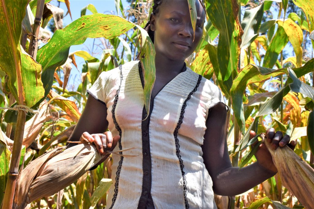 Jackline Wanja in one of the demo plots of the variety she liked. (Photo: Joshua Masinde/CIMMYT)