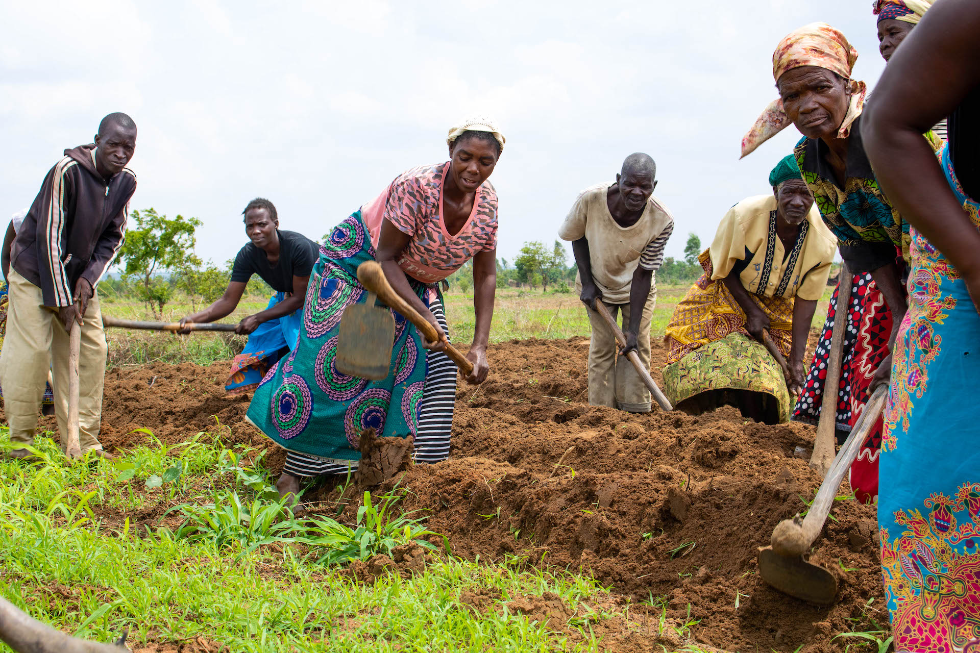 Farmers at the field school in Msambafumu, Malawi, begin preparing the soil for their next set of experiments. (Photo: Emma Orchardson/CIMMYT)