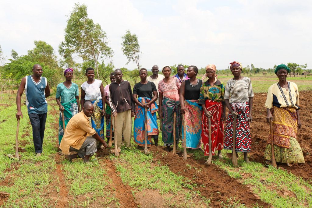 “We didn’t know that potatoes, millet and sorghum could grow here, because we thought the soil wasn’t suitable, but the school has showed us what is possible,” explains Maxwell Phiri (first from left). “You learn a lot of things in a group that you might not learn on your own.” (Photo: Emma Orchardson/CIMMYT)